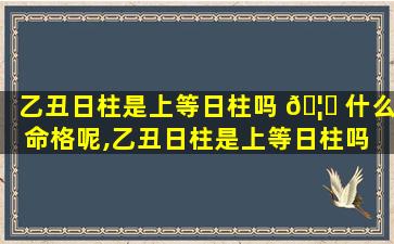 乙丑日柱是上等日柱吗 🦉 什么命格呢,乙丑日柱是上等日柱吗 🐦 什么命格呢女生